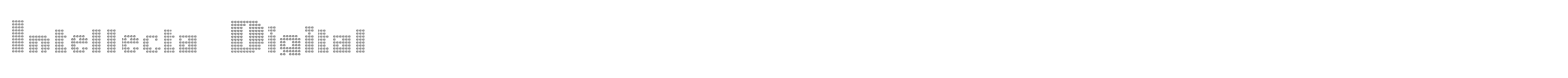 Intellecta Digital font preview